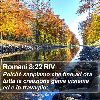 Romani 8:22 RIV Bible Verse Image