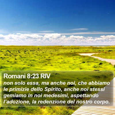 Romani 8:23 RIV Bible Verse Image
