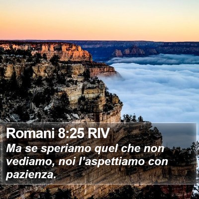 Romani 8:25 RIV Bible Verse Image