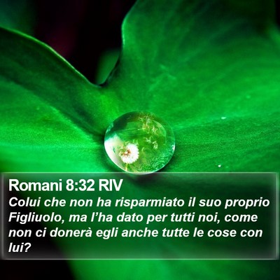 Romani 8:32 RIV Bible Verse Image