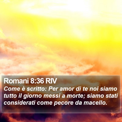 Romani 8:36 RIV Bible Verse Image