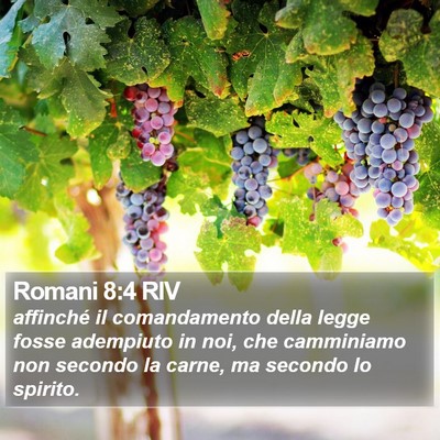 Romani 8:4 RIV Bible Verse Image