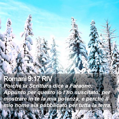 Romani 9:17 RIV Bible Verse Image