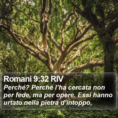 Romani 9:32 RIV Bible Verse Image