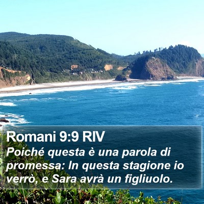 Romani 9:9 RIV Bible Verse Image