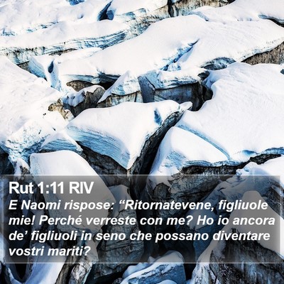 Rut 1:11 RIV Bible Verse Image