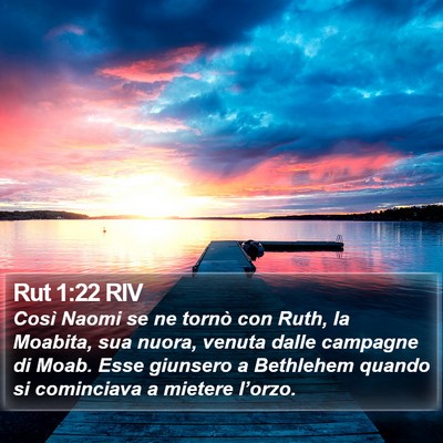 Rut 1:22 RIV Bible Verse Image