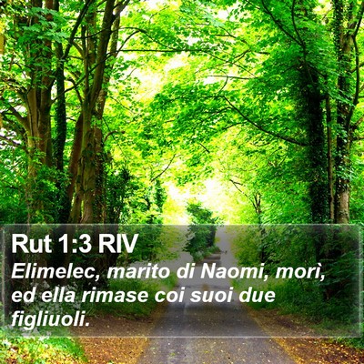 Rut 1:3 RIV Bible Verse Image