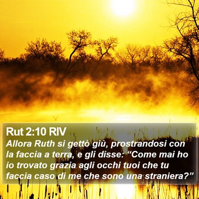 Rut 2:10 RIV Bible Verse Image