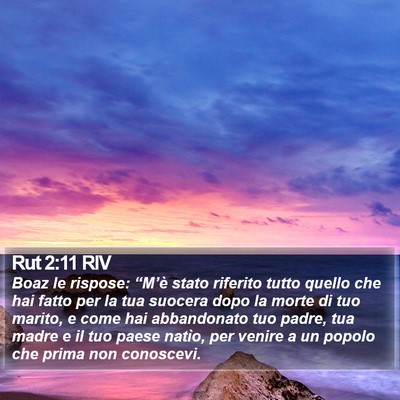 Rut 2:11 RIV Bible Verse Image