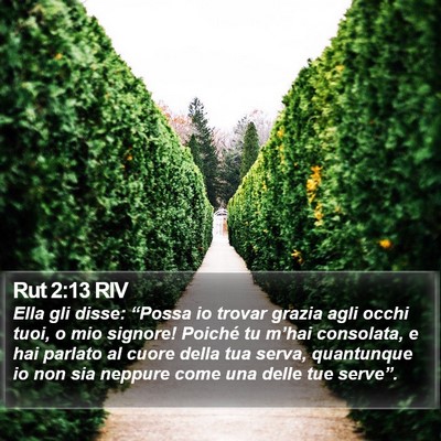 Rut 2:13 RIV Bible Verse Image