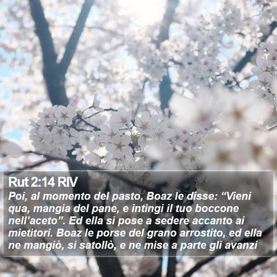 Rut 2:14 RIV Bible Verse Image
