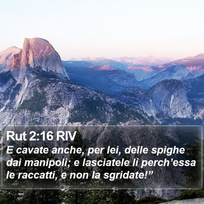 Rut 2:16 RIV Bible Verse Image