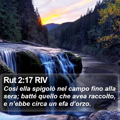 Rut 2:17 RIV Bible Verse Image