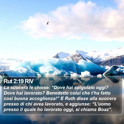 Rut 2:19 RIV Bible Verse Image