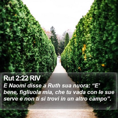 Rut 2:22 RIV Bible Verse Image
