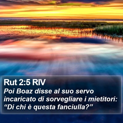 Rut 2:5 RIV Bible Verse Image
