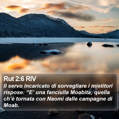 Rut 2:6 RIV Bible Verse Image
