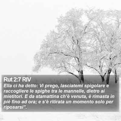 Rut 2:7 RIV Bible Verse Image