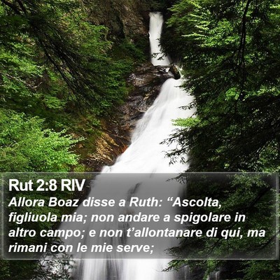 Rut 2:8 RIV Bible Verse Image