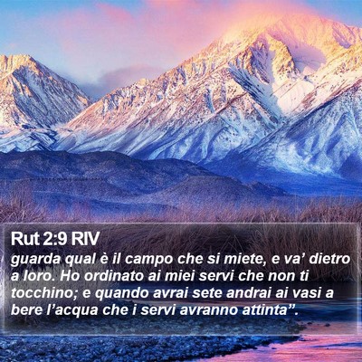 Rut 2:9 RIV Bible Verse Image