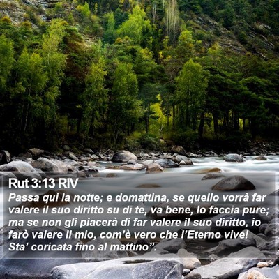 Rut 3:13 RIV Bible Verse Image