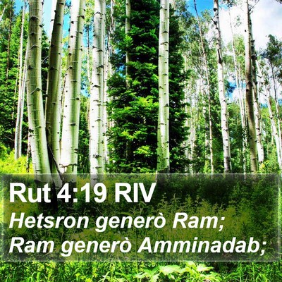 Rut 4:19 RIV Bible Verse Image