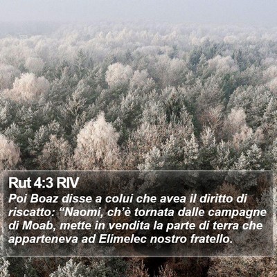 Rut 4:3 RIV Bible Verse Image