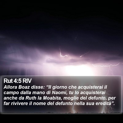 Rut 4:5 RIV Bible Verse Image