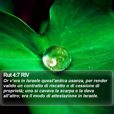 Rut 4:7 RIV Bible Verse Image