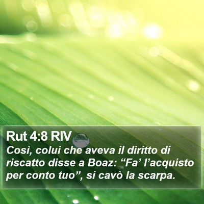 Rut 4:8 RIV Bible Verse Image