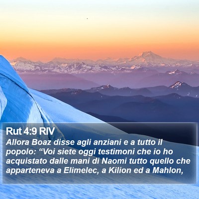 Rut 4:9 RIV Bible Verse Image