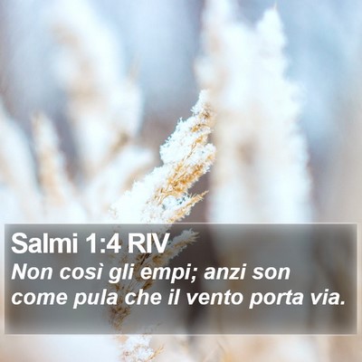 Salmi 1:4 RIV Bible Verse Image