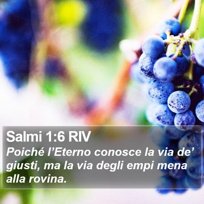 Salmi 1:6 RIV Bible Verse Image