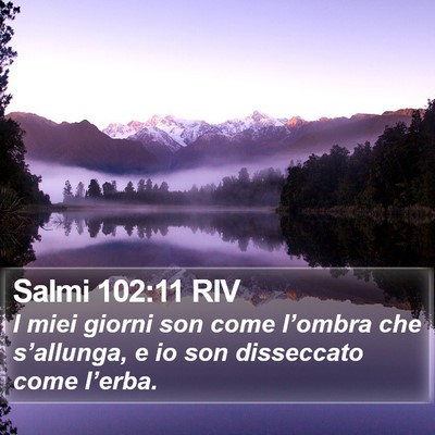 Salmi 102:11 RIV Bible Verse Image