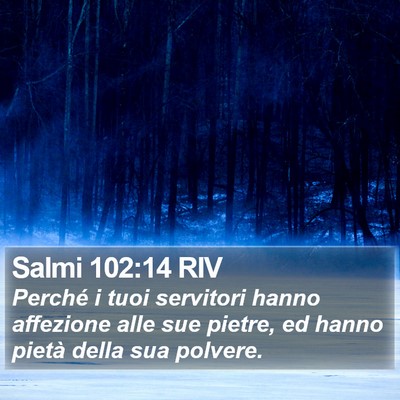 Salmi 102:14 RIV Bible Verse Image