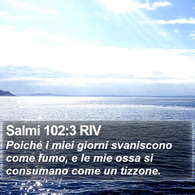 Salmi 102:3 RIV Bible Verse Image