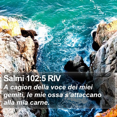 Salmi 102:5 RIV Bible Verse Image