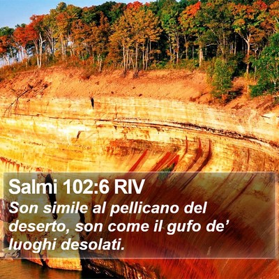 Salmi 102:6 RIV Bible Verse Image