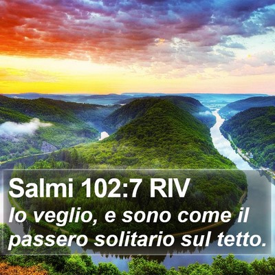 Salmi 102:7 RIV Bible Verse Image