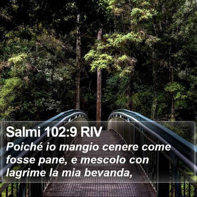 Salmi 102:9 RIV Bible Verse Image