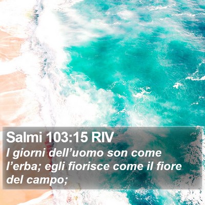 Salmi 103:15 RIV Bible Verse Image