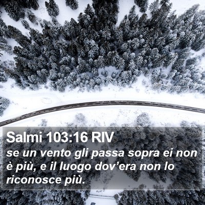 Salmi 103:16 RIV Bible Verse Image