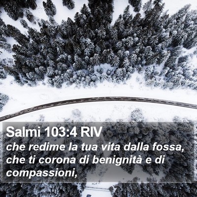 Salmi 103:4 RIV Bible Verse Image