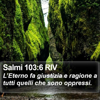 Salmi 103:6 RIV Bible Verse Image