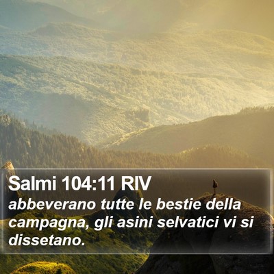 Salmi 104:11 RIV Bible Verse Image