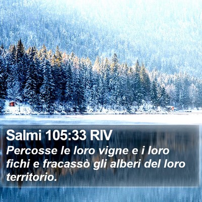 Salmi 105:33 RIV Bible Verse Image