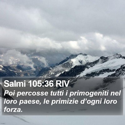 Salmi 105:36 RIV Bible Verse Image
