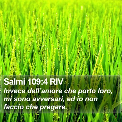 Salmi 109:4 RIV Bible Verse Image