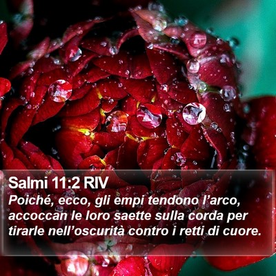 Salmi 11:2 RIV Bible Verse Image